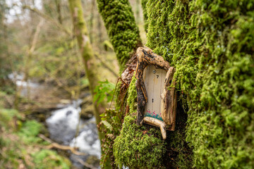 Fairy house on a mossy tree in the Glen Helen public forest, Isle of Man