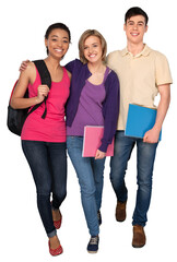 Cheerful Multi-Ethnic Group College Students