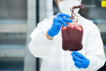 Scientist wear blue gloves hand holding red blood bag from donor at blood bank laboratory.Doctor...