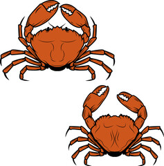 Set of the crabs icons in vector. Crab label. Crabs icons isolated on white background. Vector design element.