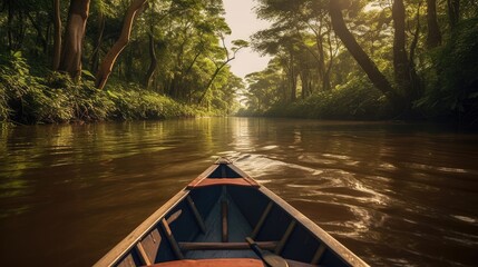 Sailing in a boat through the flooded forest in Amazon