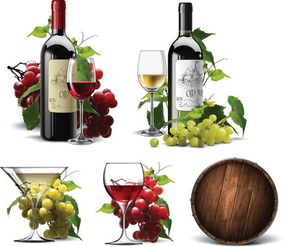 Wine elements set on a white background. High detailed realistic illustration.
