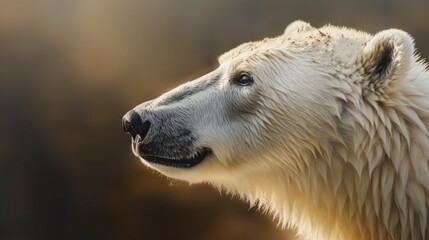 Fototapeta premium Generative AI, Polar Bear
