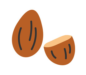 Almond Nuts. Natural healthy food. Flat cartoon style vector illustration isolated on white background.