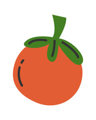 Fresh red tomato. Flat cartoon style vector illustration isolated on white background.