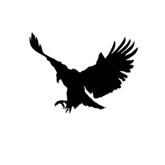 Obraz premium Eagle in the sky. Eagle in the sky silhouette. Black and white eagle in the sky illustration.