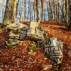 forca d'acero, national park of abruzzo, lazio e molise, Abruzzo, italy