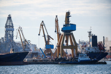 Container terminal, with cranes, in a commercial port
