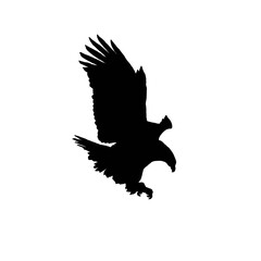 Eagle in the sky. Eagle in thesky silhouette. Black and white eagle illustration.