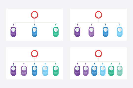 Collection of hierarchy infographic template design