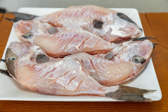Clean and seasoned Pero&aacute; fish (Balistes capriscus) . Typical fish from the coast of Esp&iacute;rito Santo (Capixaba) Brazil, known as "peixe porquinho". Atlantic Ocean fish.