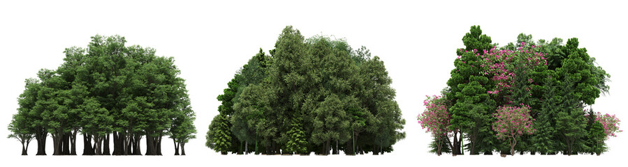 group of trees isolated on a transparent background, big trees in the forest, 3D illustration, cg render