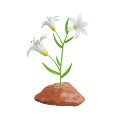3d Lily. icon isolated on white background. 3d rendering illustration