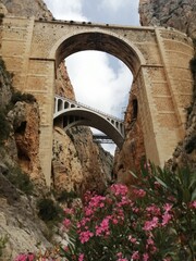 Fototapeta na wymiar Puentes de piedra cruzando el barranco