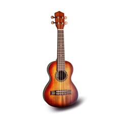 Obraz premium acoustic guitar isolated on white