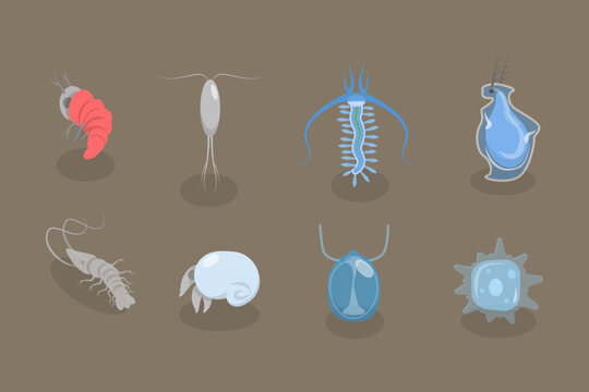 3D Isometric Flat Vector Set of Varieties Of Plankton, Collection of Small Water Organisms