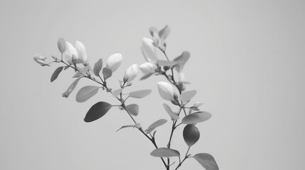 Design with foliage branch in monochrome style. Floral design element. Generative AI. Illustration for cover, card, postcard, brochur, advertising or presentation.