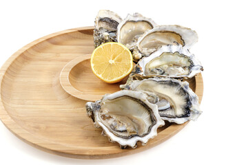 oysters with lemon on a white background for the site 2