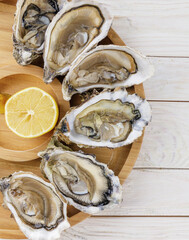 oysters with lemon on a white background for the site 1