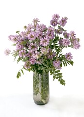Fototapeta premium pink flowers of Coronilla varia plant close up