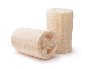 Two natural luffa bath sponges