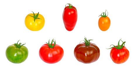 Tomates variétés anciennes