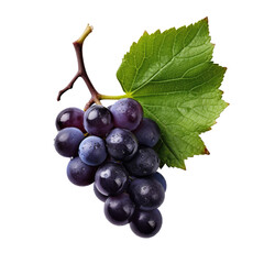 Black grapes with leaves isolated on transparent background
