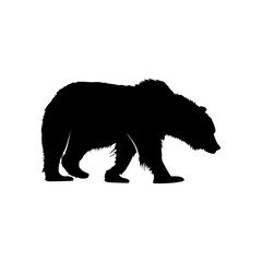 Bear silhouette. Vector illustration isolated on white background for print and poster.