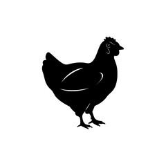 Hen silhouette isolated on white background
