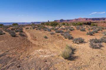 hiking the murphy trail loop in the island in the sky in canyonlands national park, usa