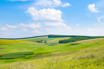 Fototapeta premium Green meadow on a hilly landscape.