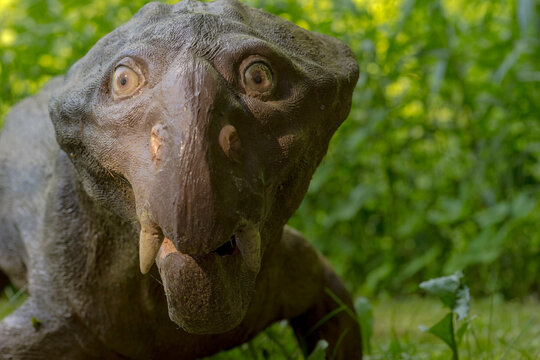 Poland Baltow May 30, 2023 at 15:32. The mammal-like reptile Dicinodon. Herbivorous reptile living in the Permian with characteristic two teeth. Figure from the park of paleontological attractions .