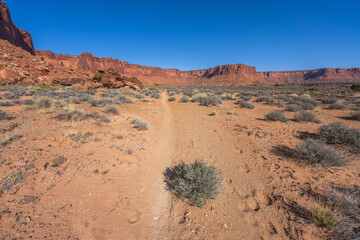 Fototapeta premium hiking the murphy trail loop in the island in the sky in canyonlands national park, usa