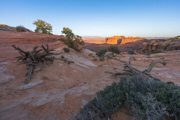 island in the sky visitor center view point in canyonlands national park, usa