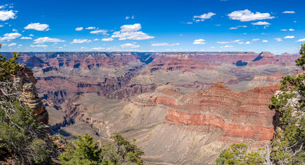 Marvel at the panoramic view of the Grand Canyon: towering canyon walls painted in fiery reds and oranges, lush green trees dotting the landscape, all under a vibrant blue sky.