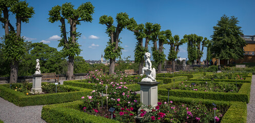 Obraz premium Rose garden with putty statues, the north district as skyline, a sunny summer day in Stockholm