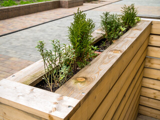 Making a decorative wooden fence with plants