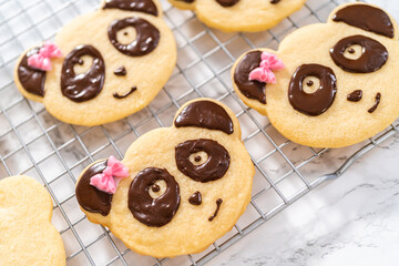 Panda shaped shortbread cookies with chocolate icing