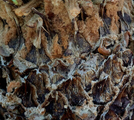 beautiful background for artists