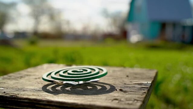spiral from mosquitoes and insects in nature