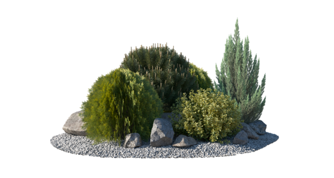 Rockery garden an area within a garden that has plants growing between piles of stones frontal isolated png on a transparent background perfectly cutout