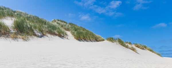Landscape with sand dunes at nature reserve Boschplaat at Wadden island Terschelling in Friesland...