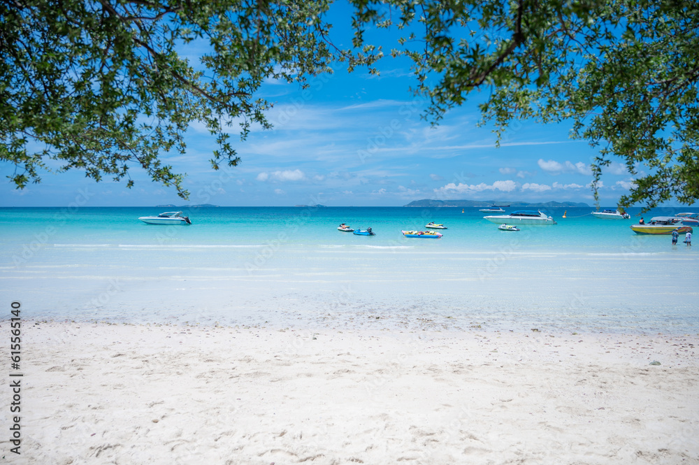 Poster sandy beach with white sand