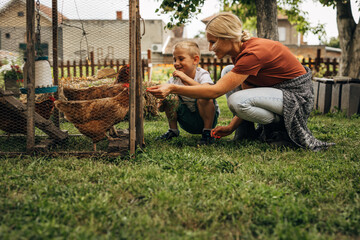 Mother and her son are feeding their chickens with grass.