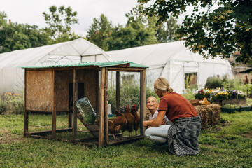 Mother and son having fun together in the garden with chickens. © cherryandbees