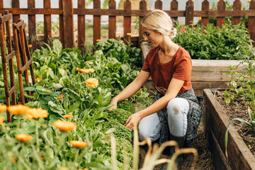 A woman is weeding in the garden