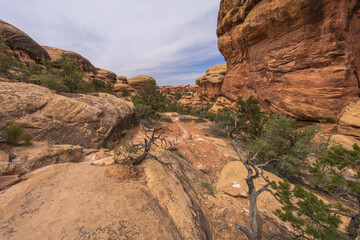 hiking the chesler park loop trail in the needles in canyonlands national park, usa