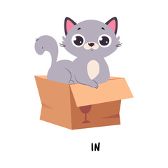 Little Grey Cat Sitting in Cardboard Box as English Language Preposition for Educational Activity Vector Illustration