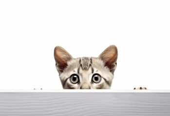 Adorable Ocicat-Siamese Kitten Peeking Out from Behind White Table with Copy Space, Isolated on White Background. Generative AI.