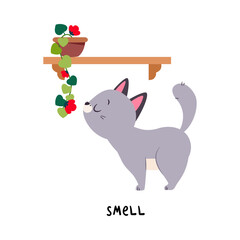 Funny Grey Cat Smell Flower as English Verb for Educational Activity Vector Illustration